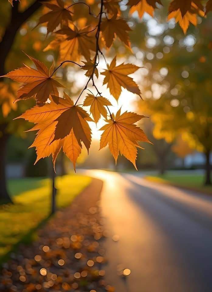 otoño