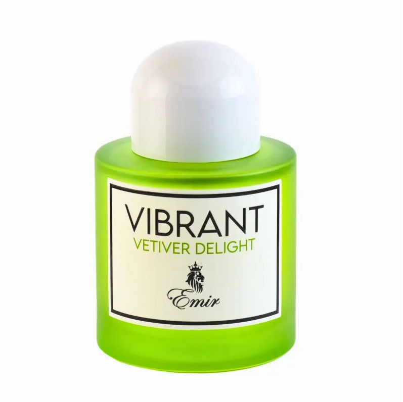Paris Corner Emir Vibrant Vetiver Delight Eau de Parfum 100 ml